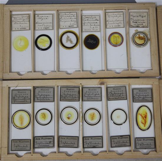 Two cases of late 19th/early 20th century microscope slides,